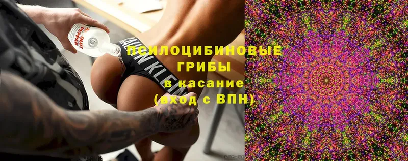 Галлюциногенные грибы MAGIC MUSHROOMS  Павловск 